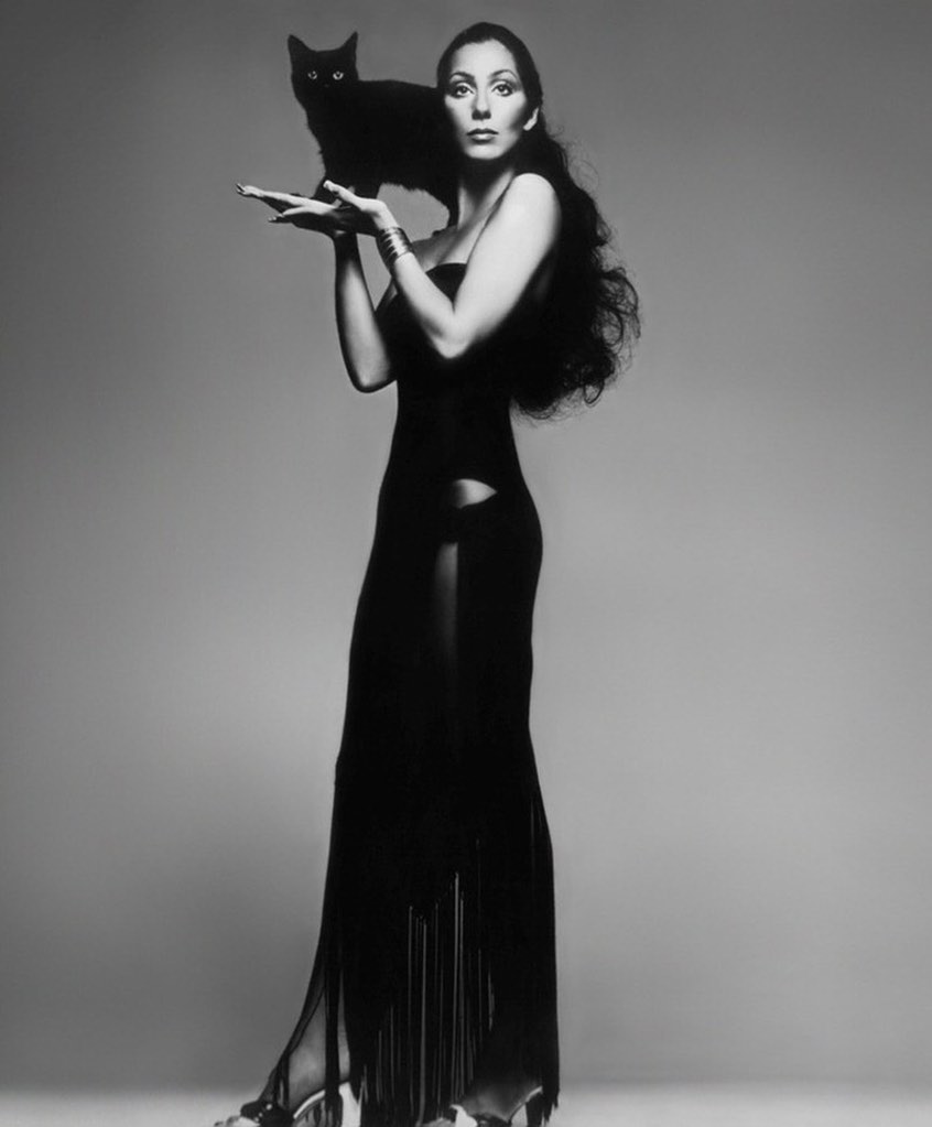 cher by Richard Avedon